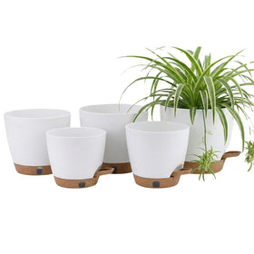 Montresor self-watering planter 5-inch with wick system keeps moisture steady for herbs