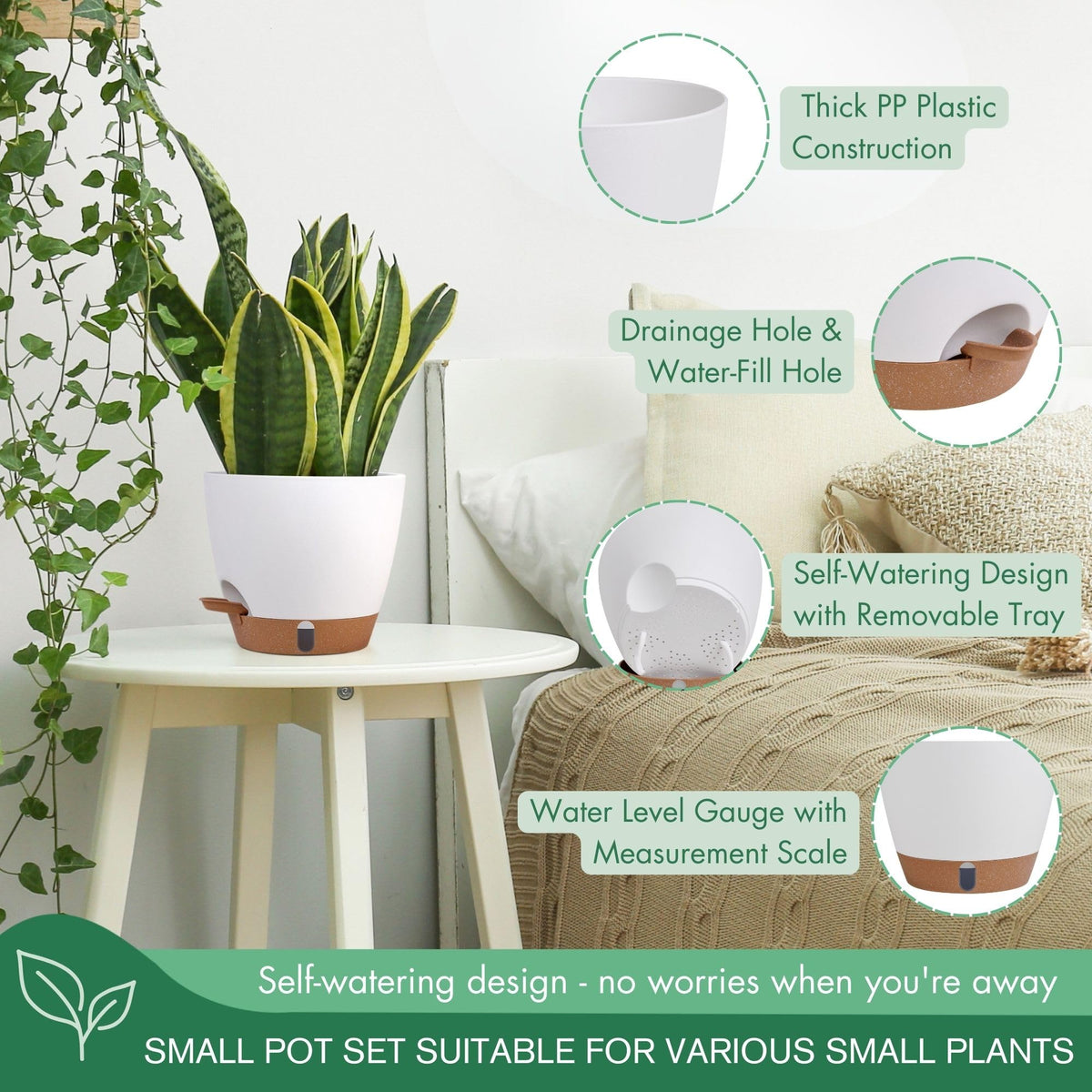 Montresor self-watering planter 6.5-inch lightweight for easy rearranging