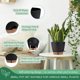 Montresor self-watering pots 5-5-inch diameter highlighting versatile sizes for small plants.