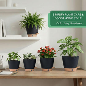 Montresor self-watering pots showing 5-inch diameter for compact herbs and seedlings.