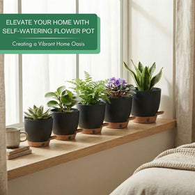 Montresor self-watering pots 6-5-inch diameter ideal for compact setups.