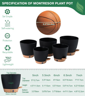 Montresor self-watering pots 6-inch diameter designed for mixed indoor plants.