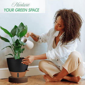 Montresor water level window planter provides quick moisture insight.