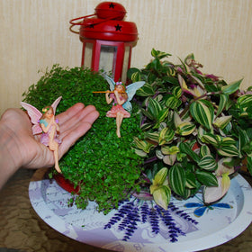 Mood Lab sitting fairies enhance outdoor displays with delightful, durable resin accents.