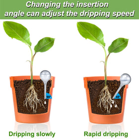 Moodaily large gray globe visible in soil supporting worry-free irrigation.