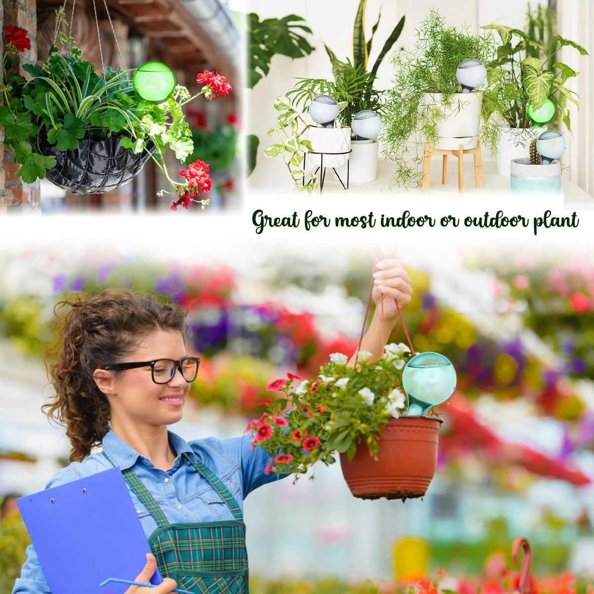 Moodaily small lake blue globe aiding consistent moisture for hanging plants.