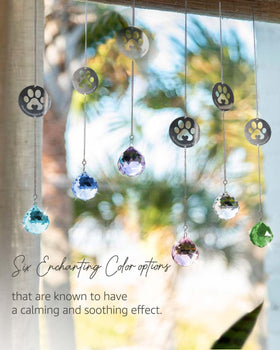 Mooncraftlogy rainbow light display in direct sun brightens space.