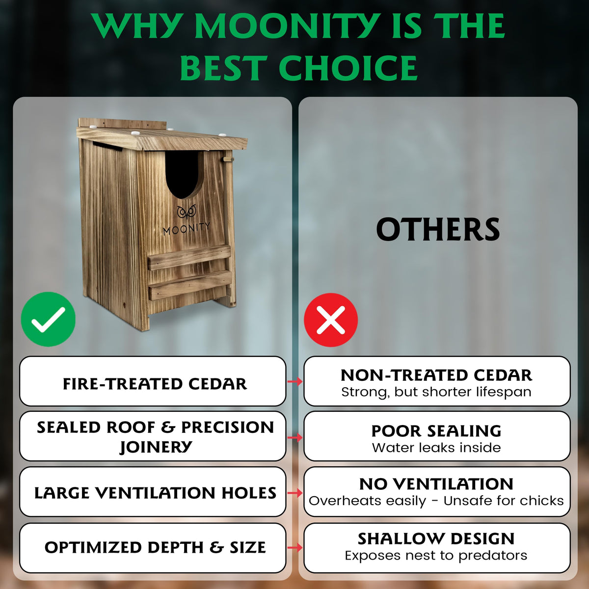 Moonity Fire-Treated Cedar Owl House interior with roomy space for chicks
