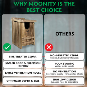 Moonity Fire-Treated Cedar Owl House interior with roomy space for chicks