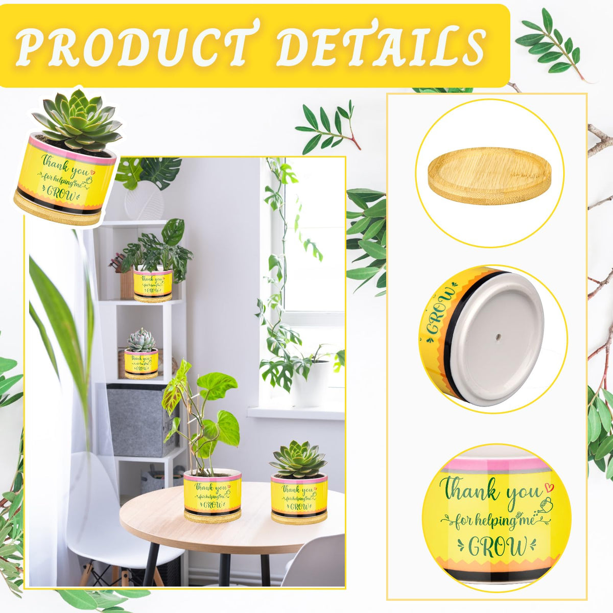 Moonld desk-friendly planter set enhances classroom display and gifting.