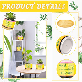 Moonld desk-friendly planter set enhances classroom display and gifting.