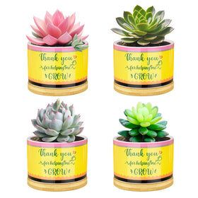 Moonld pencil-shaped succulent planter adds a desk-friendly decor touch for teachers.