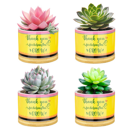 Moonld pencil-shaped succulent planter adds a desk-friendly decor touch for teachers.