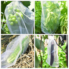 Moonoom 100-piece pack protects fruits and plants across seasons.