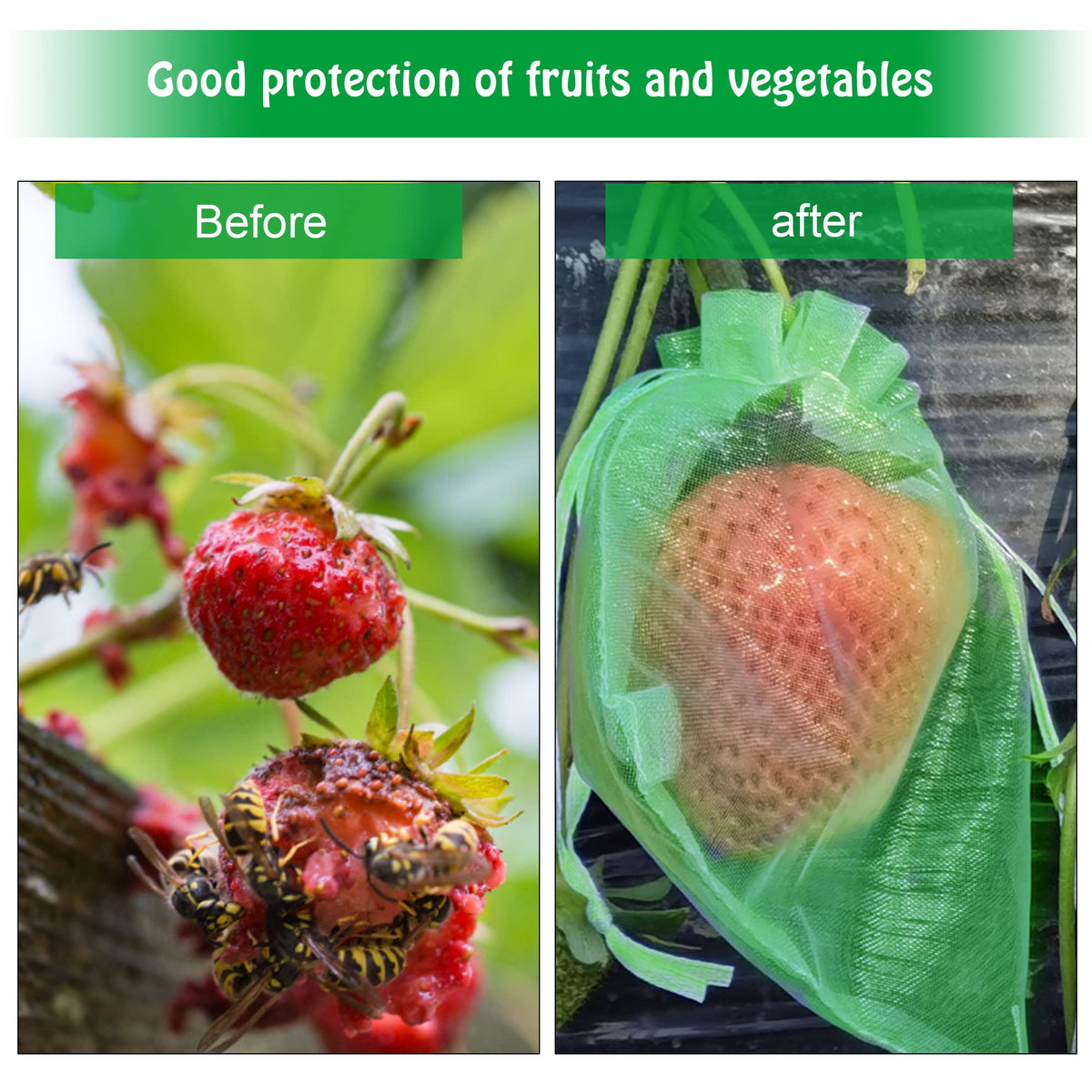 Moonoom breathable mesh bags promote airflow around fruit for healthier growth.