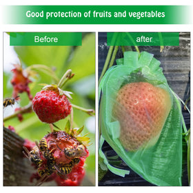 Moonoom breathable mesh bags promote airflow around fruit for healthier growth.