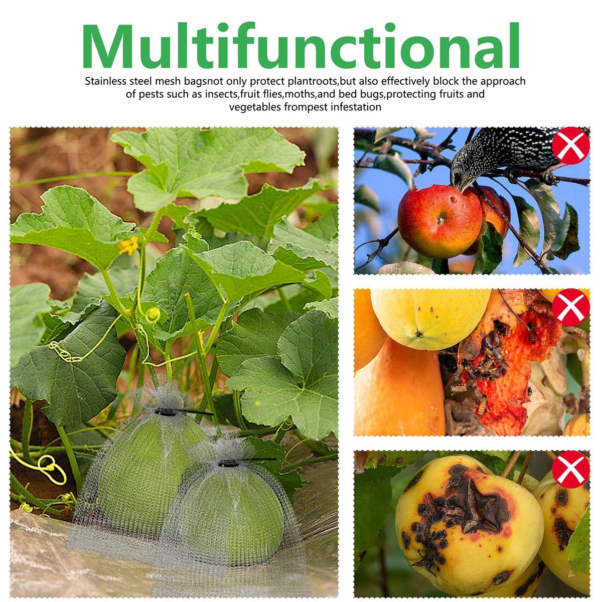 Moonoom breathable protection for fresh produce, helping reduce moisture buildup
