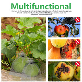 Moonoom breathable protection for fresh produce, helping reduce moisture buildup