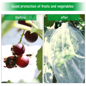 Moonoom garden fruit mesh bags promote airflow for healthy ripening.