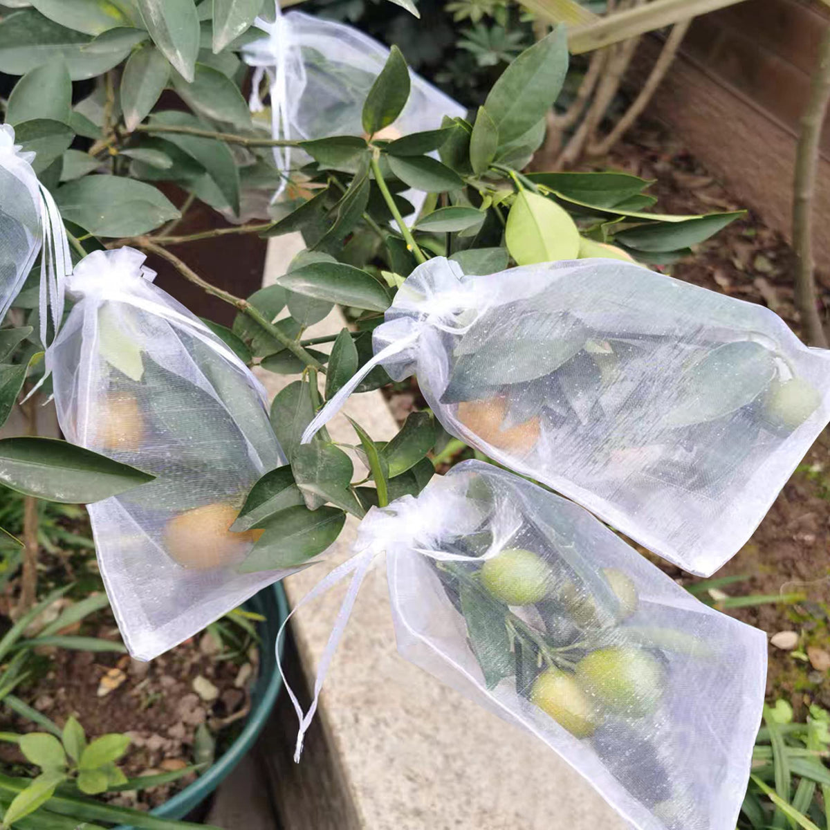 Moonoom lightweight, breathable design suits outdoor and indoor gardening.