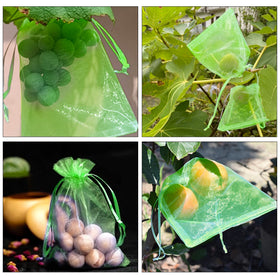 Moonoom pest and bird protection bags guard harvest while letting sunlight.