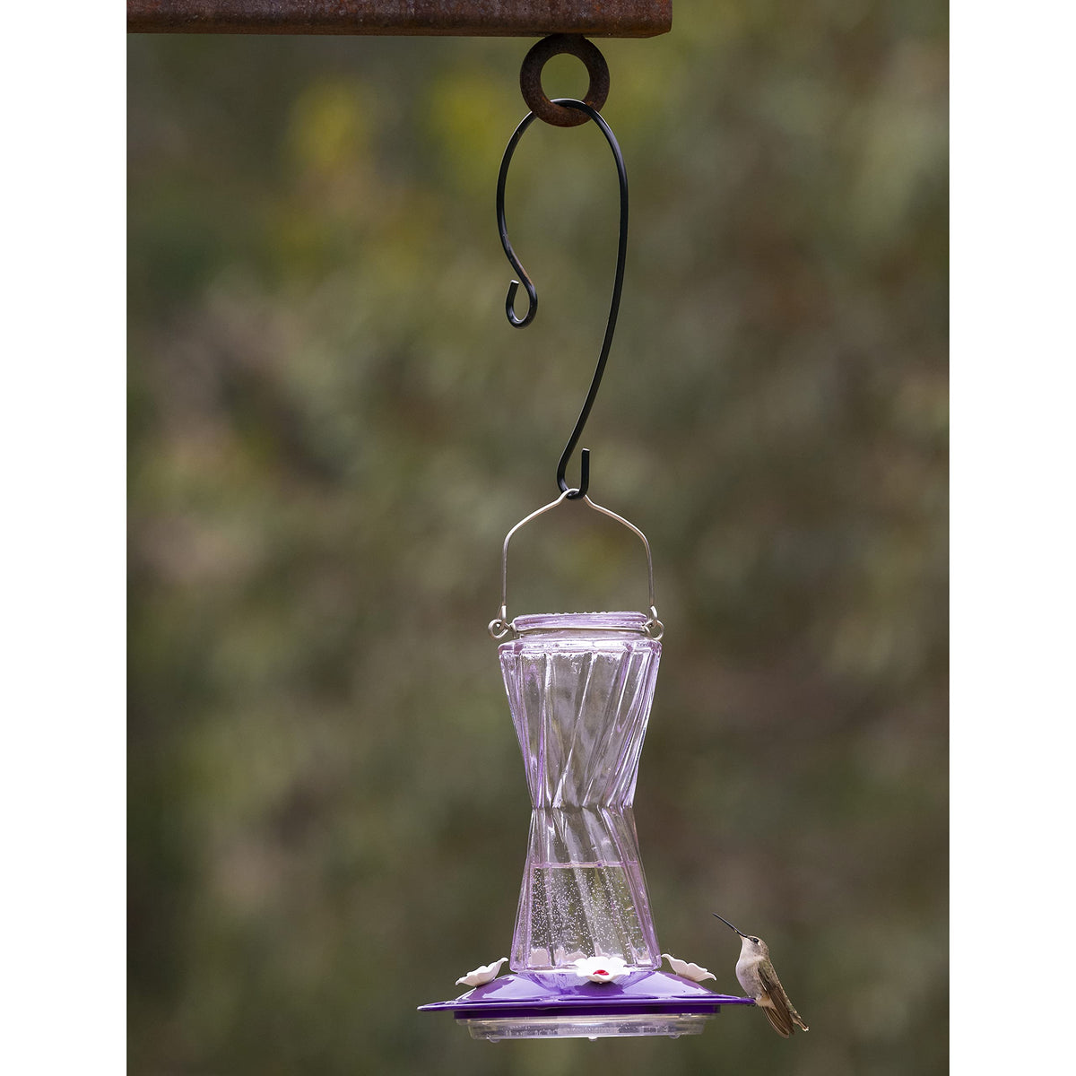 More Birds metal branch hook on a plant stand, showcasing sturdy, rust-resistant finish.