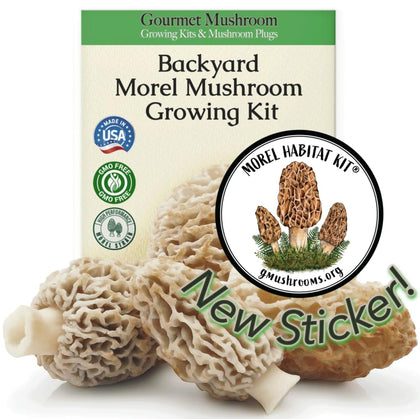 Morel Habitat Kit backyard setup ready for spring harvest and fresh flavor
