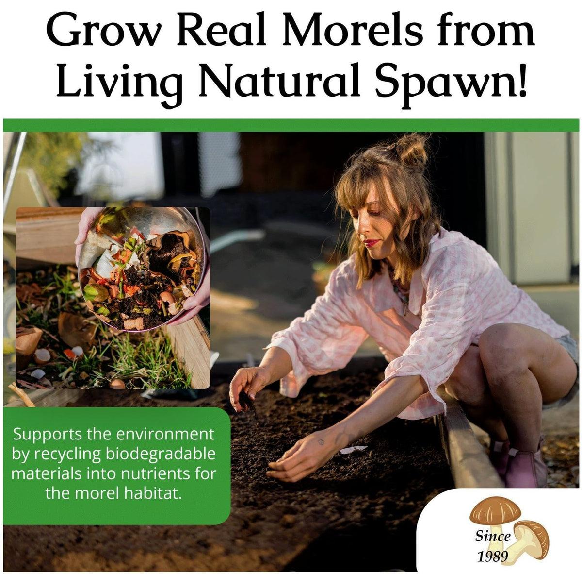 Morel Habitat Kit Made in USA by a family-owned team