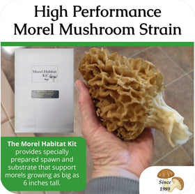 Morel Habitat Kit compact space layout for 4-16 sq ft