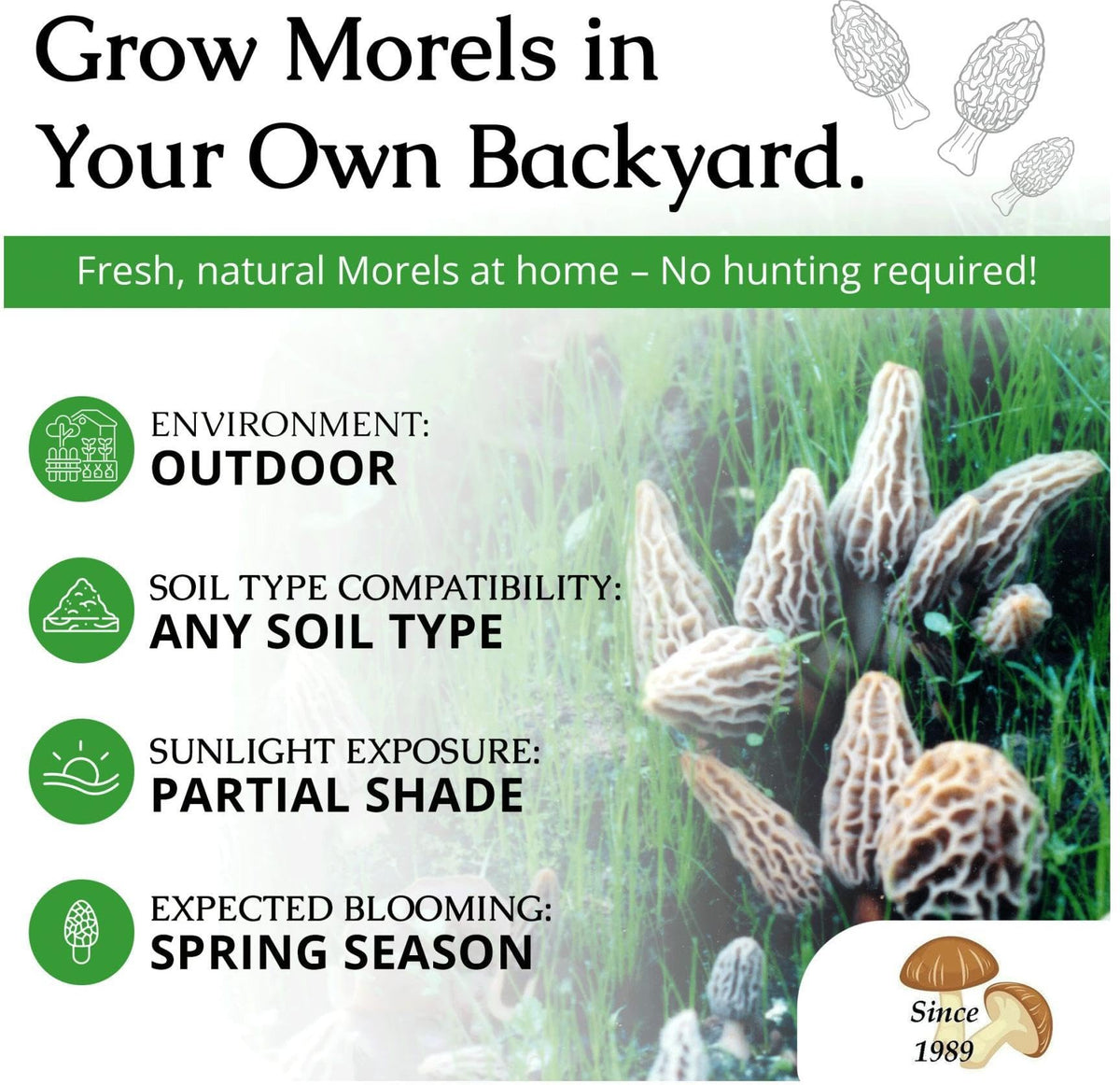 Morel Habitat Kit sticker closeup on durable weatherproof vinyl