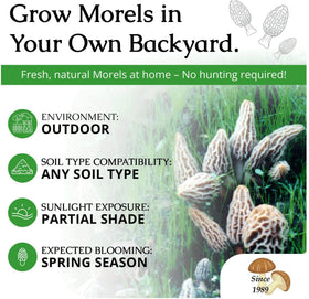 Morel Habitat Kit sticker closeup on durable weatherproof vinyl