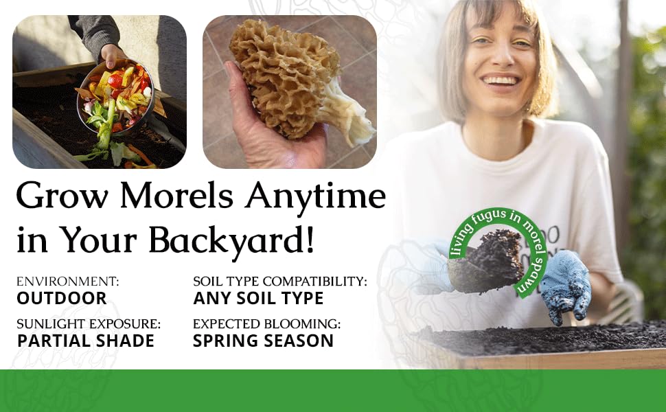 Morel Habitat Kit sticker collaboration with Pencils and Pines
