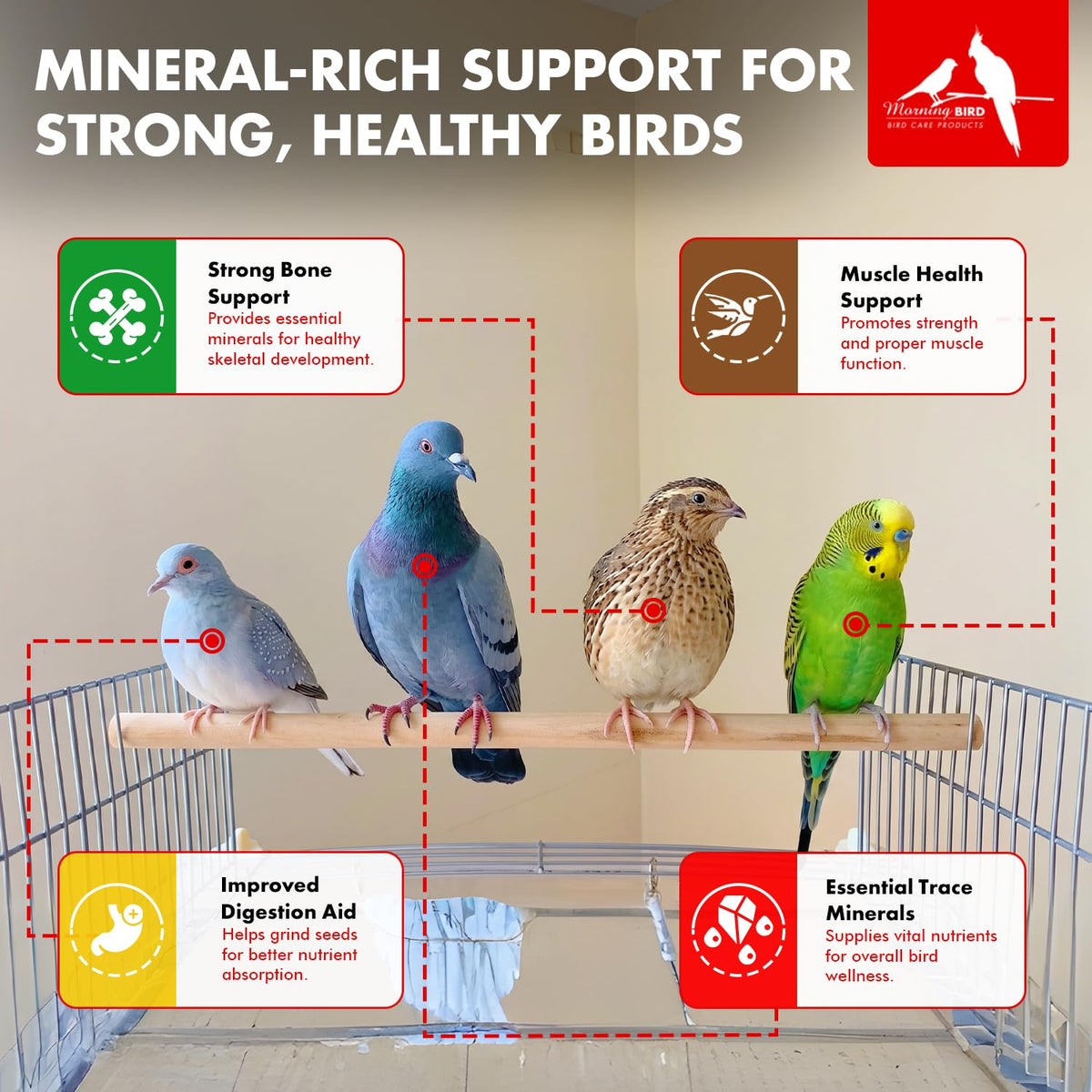 Morning Bird pigeon grit bag seal close-up highlights freshness and shelf life.