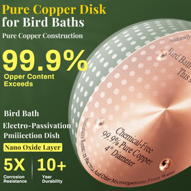 MorningRo disk with 4-point support ensures better water contact