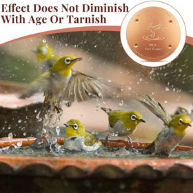 MorningRo birdbath purification disk provides broad coverage for thorough cleaning