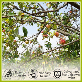 MorningRo branch support tool helps prune angle control with ease