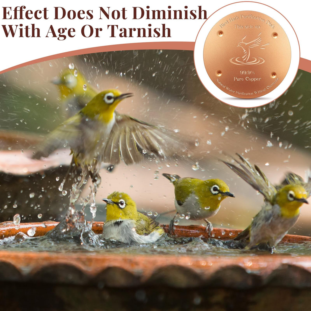 MorningRo copper bath clean-water disc helps keep water inviting for birds
