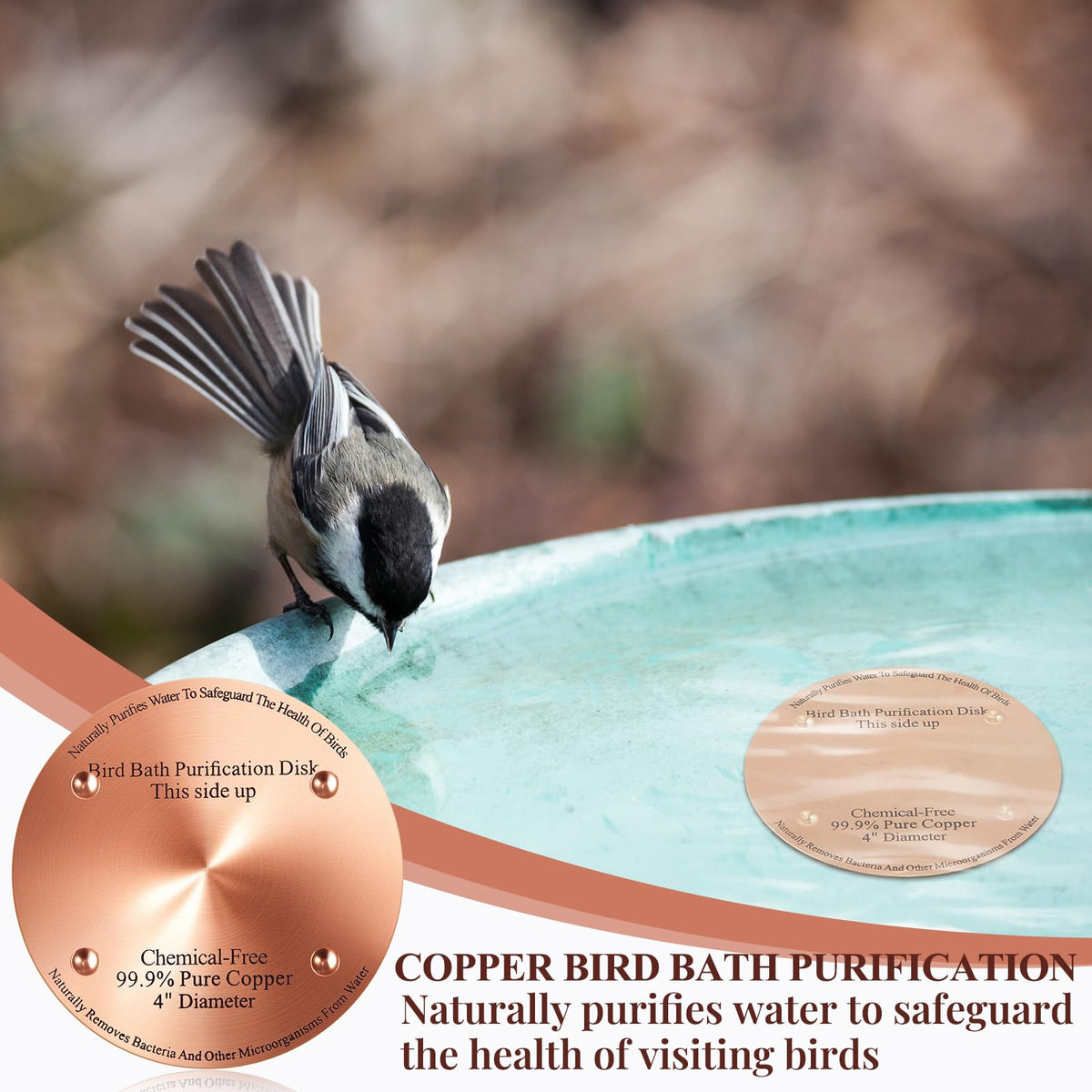 MorningRo copper disc in action at water surface