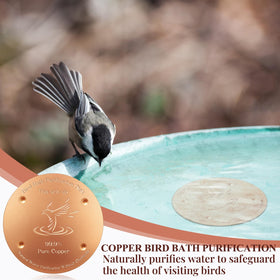 MorningRo durable copper bird bath disc keeps bath water wholesome for visitors