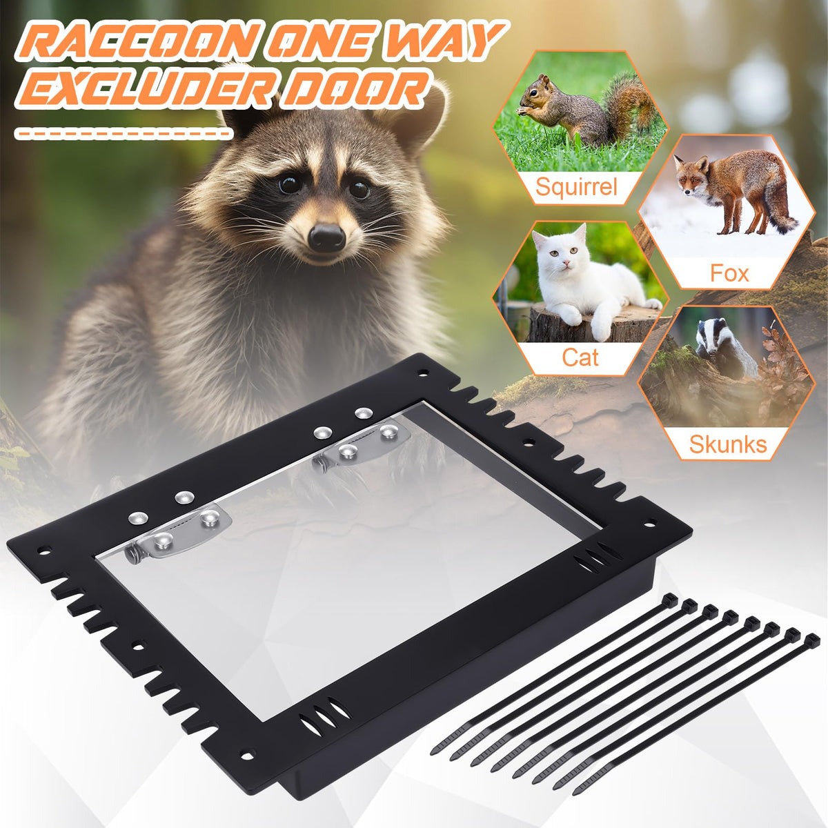 MorningRo humane protection approach helps wildlife leave safely without harm.
