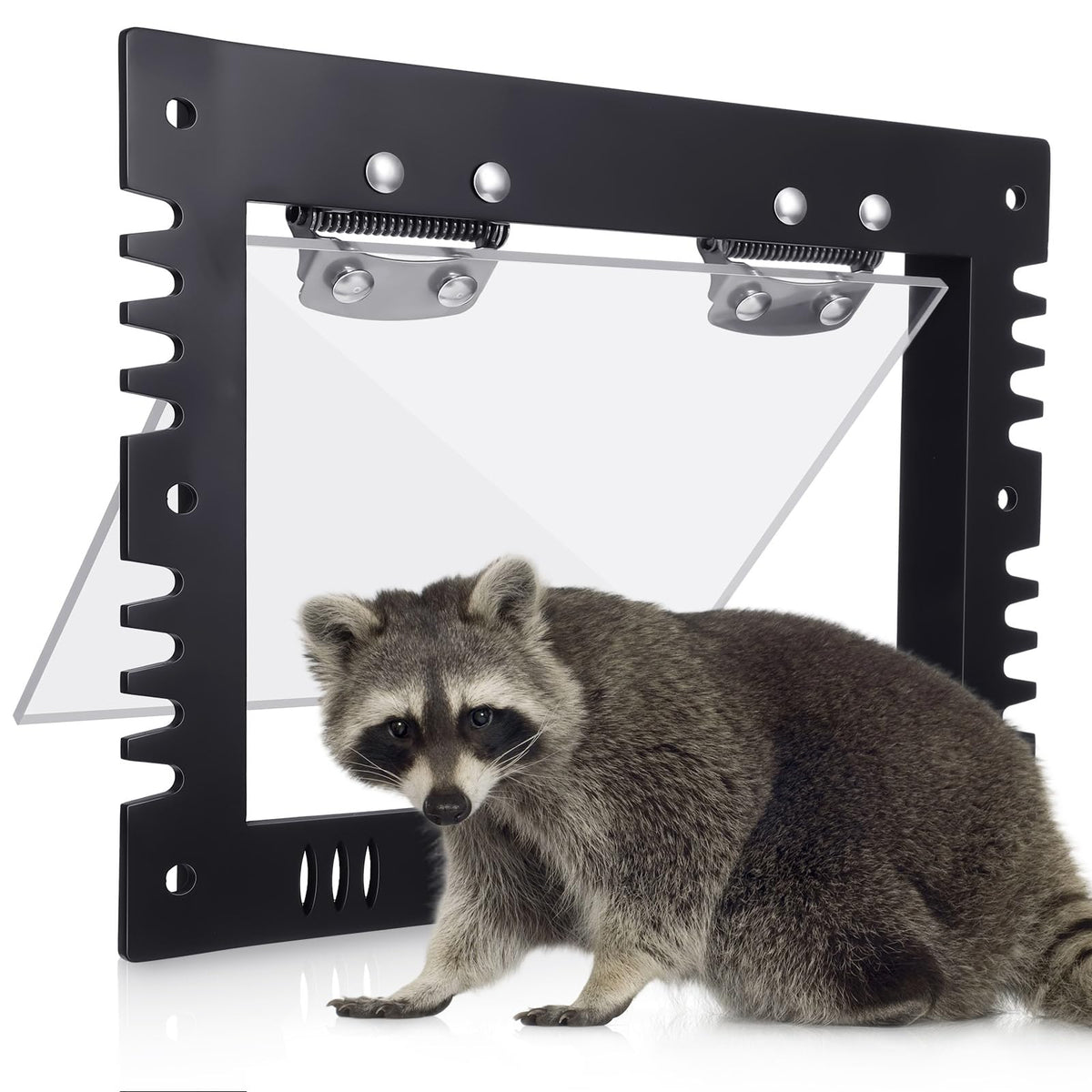 MorningRo large one-way excluder door frame keeps raccoons out while allowing safe exit.