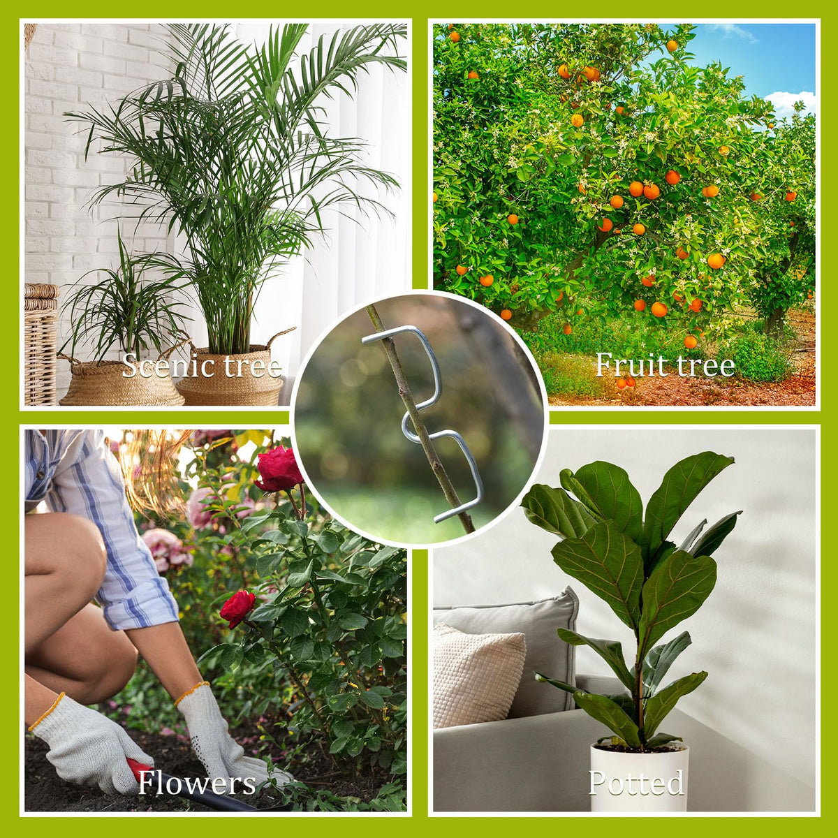 MorningRo plant shaping tool suitable for indoor and outdoor plants