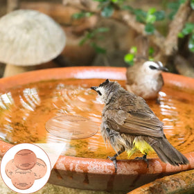 MorningRo pure copper disc purification supports natural water health for birds.