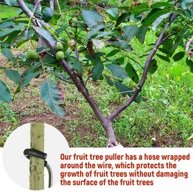 MorningRo reusable galvanized-wire spreader protects bark and extends use.