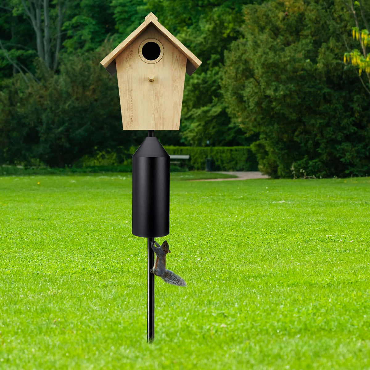 MorningRo squirrel baffle on a bird feeder pole deterring intruders