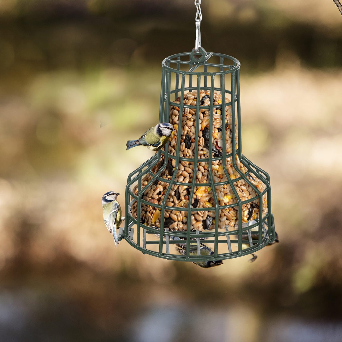 MorningRo stainless steel chain detail enabling flexible placement on high perches