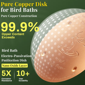MorningRo thick copper disk 0.8mm ensures long-lasting purification in any season