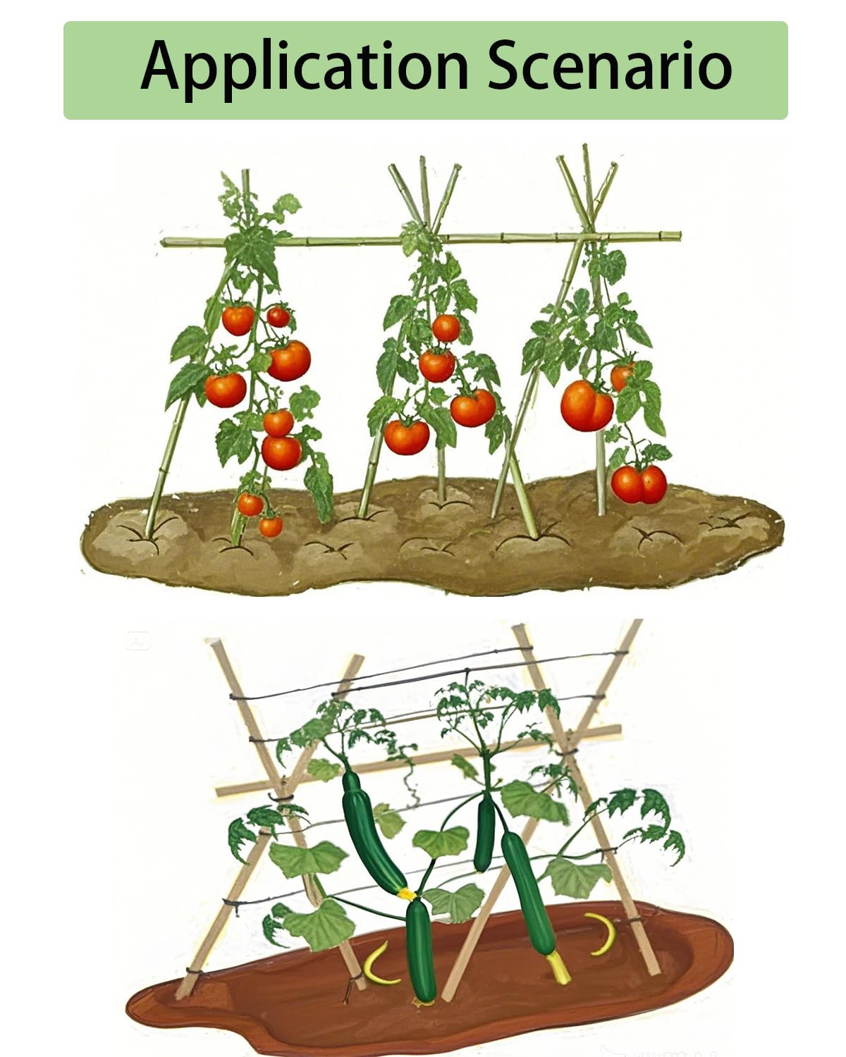 Moromyse garden stakes multi-use for indoor and outdoor plants