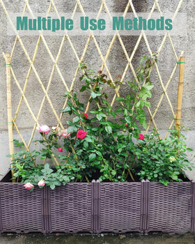 Moromyse indoor plant stakes for pots and window sills