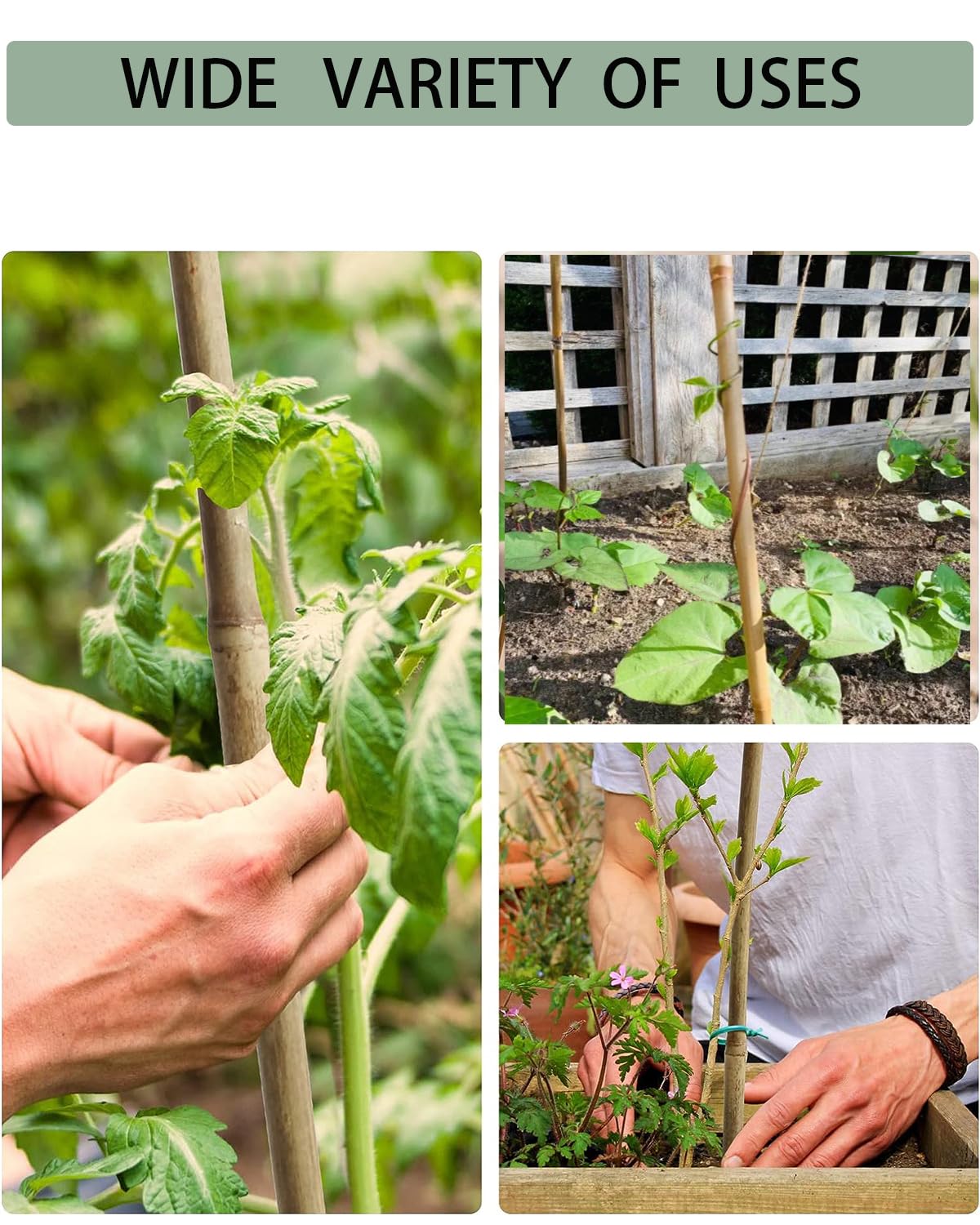 Moromyse outdoor stakes provide natural, durable garden support